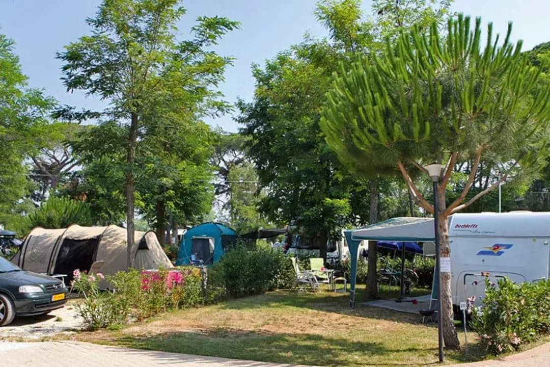 Park Albatros | Camping Toskania | Polecamy kamping w Włochach